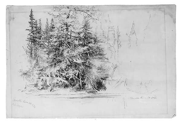 Ausable River, by Homer Dodge Martin
