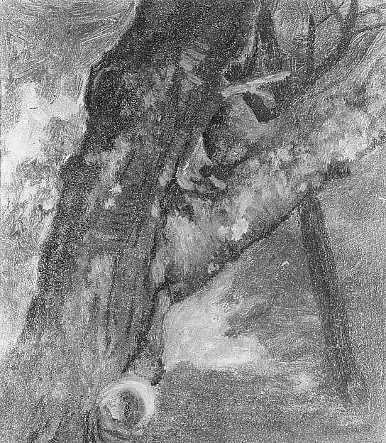 Study of a Tree, by Albert Bierstadt