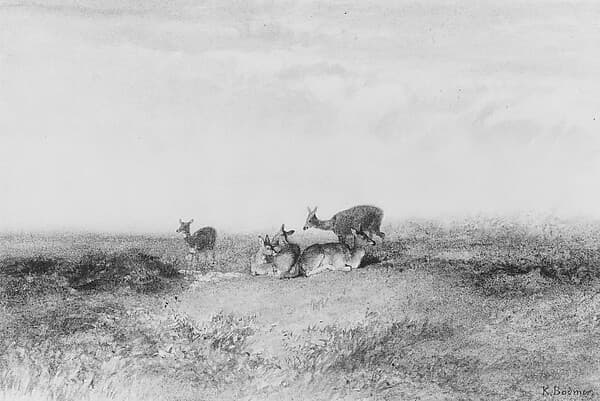 Deer in a Landscape, by Karl Bodmer