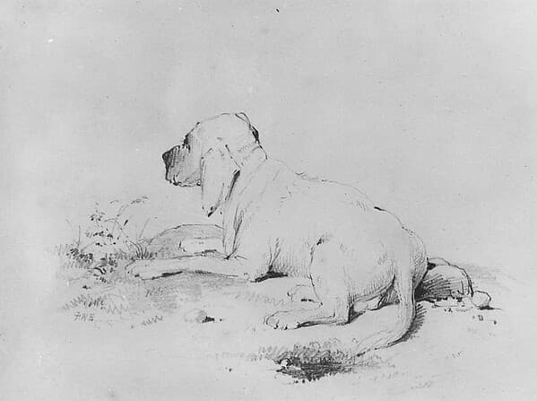 Dog (from McGuire Scrapbook), by Francis William Edmonds