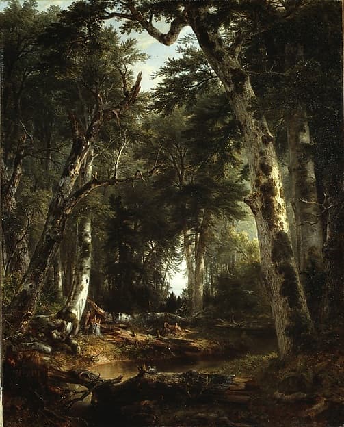 In the Woods, by Asher Brown Durand
