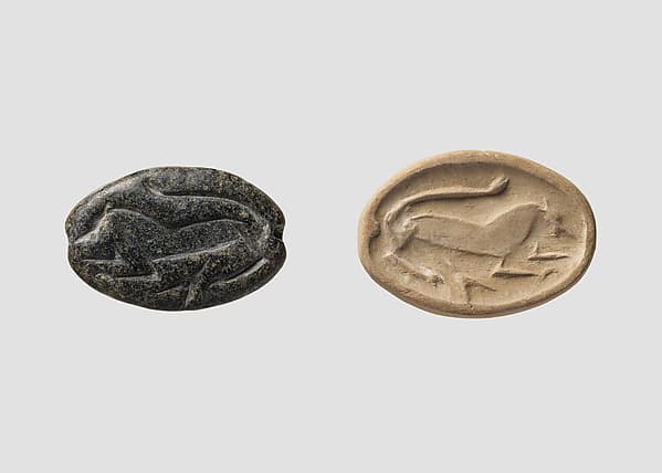 Carinated amygdaloid seal