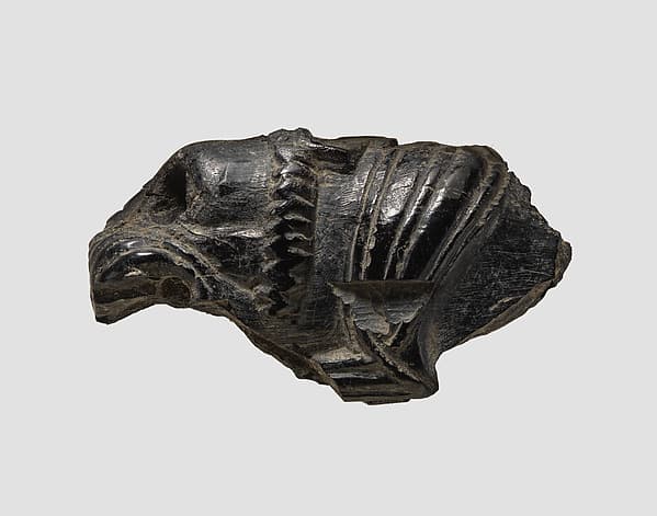 Ivory fragment