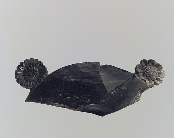 Lid fragment