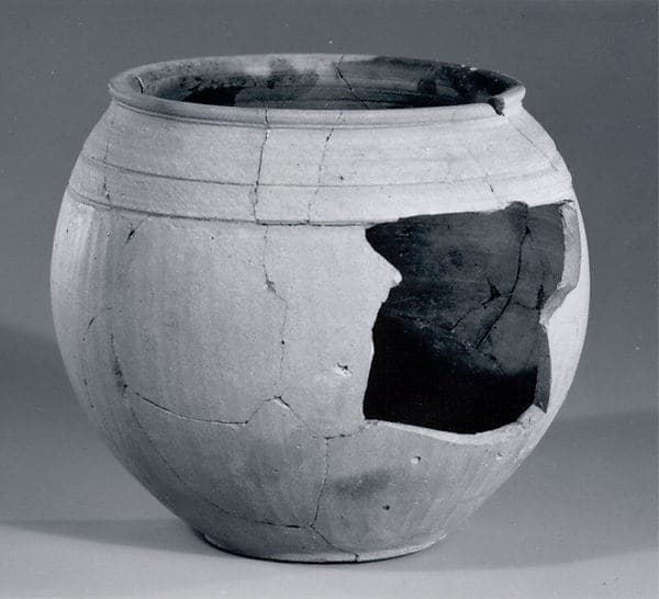 Globular jar