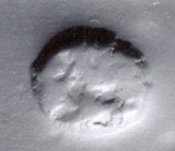 Stamp seal (scaraboid) with animal