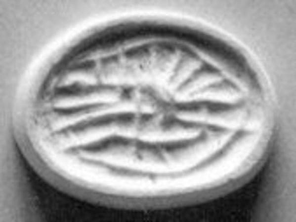 Scaraboid seal