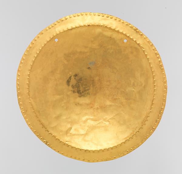 Pectoral Disk