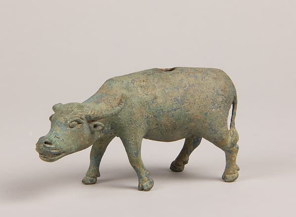 Water Buffalo