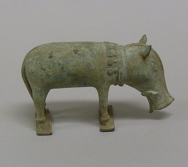 Pig