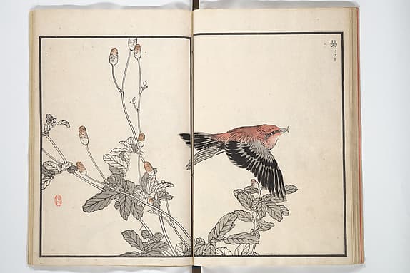 Bairei Picture Album of One Hundred Birds (Bairei hyakuchō gafu) 楳嶺百鳥畫譜, by Kōno Bairei