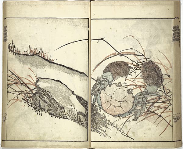 Kinpaen (Bunpō) Picture Album (Kinpaen gafu) 金波園画譜, by Kawamura Bunpō 河村文鳳