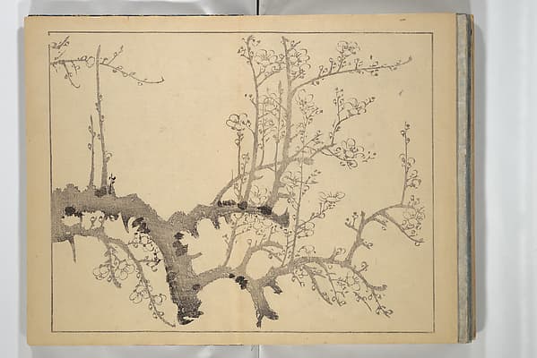 The Four Worthies (Plum, Bamboo, Orchid, Chrysanthemum) (Shikunshi) 竹洞四君子, by Nakabayashi Chikutō 中林竹洞