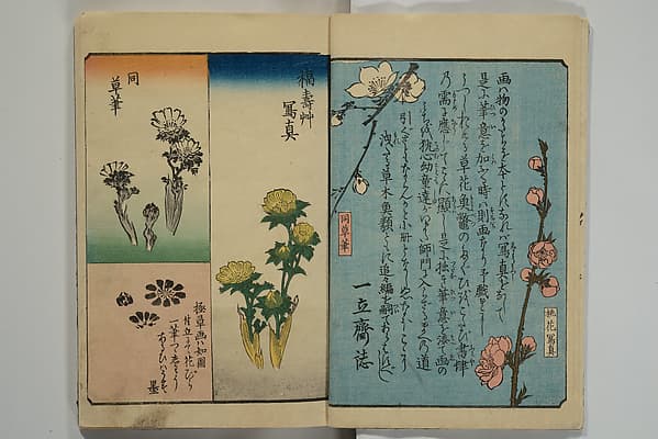 Picture Book for the Practice of Drawing (Ehon tebikigusa) 絵本手引草, by Utagawa Hiroshige 歌川広重