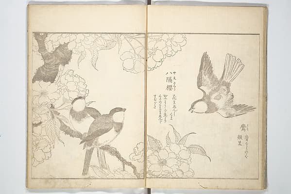 True Depictions of Bird and Flower Pictures (Kachōe shashin zui) 花鳥写真図彙; 花鳥写真図会(かちょうえ しゃしん ずえ), by Kitao Shigemasa 北尾重政