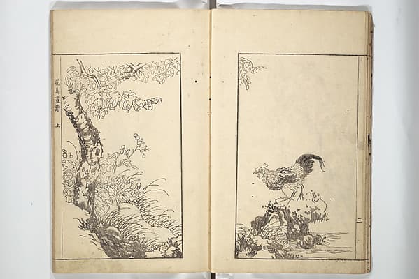 Sō Shiseki Picture Album (Sō Shiseki gafu) 宋紫石画譜, by Sō Shiseki 宋紫石