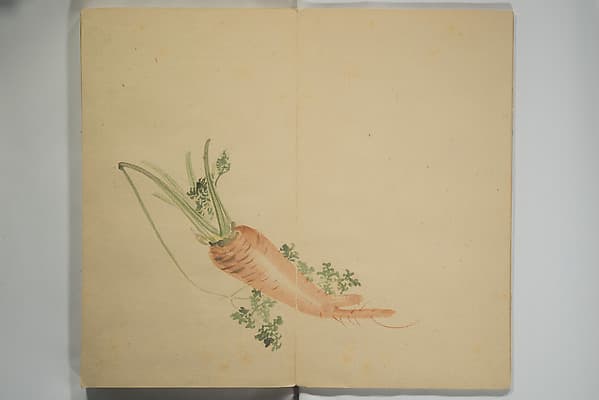 Untitled Picture Album of Twenty-five Watercolor Paintings, by Nishiyama Hōen 西山芳園