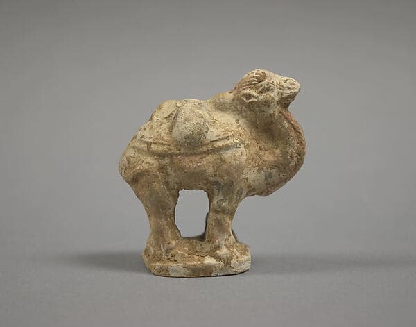 Camel