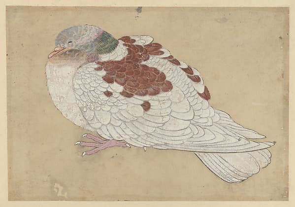 Bird, by Ogawa Haritsu (Ritsuō)
