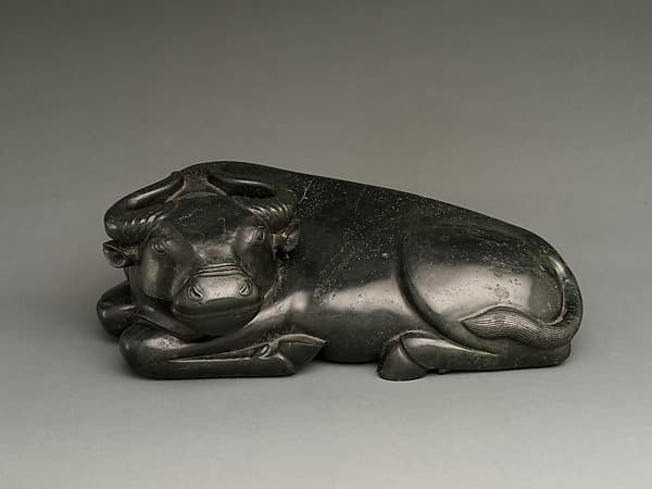 Water Buffalo