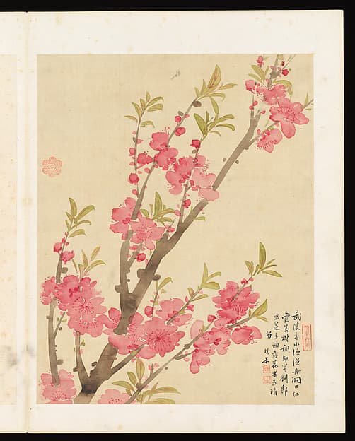 Flowers, by Liang Yuwei