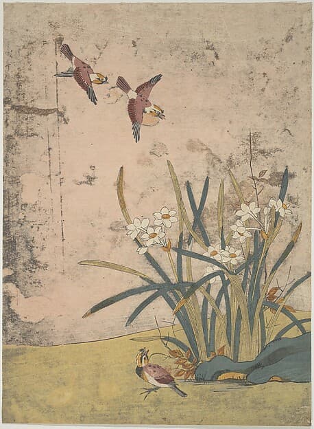 Birds and Narcissus, by Suzuki Harunobu