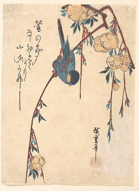 Weeping Cherry, by Utagawa Hiroshige