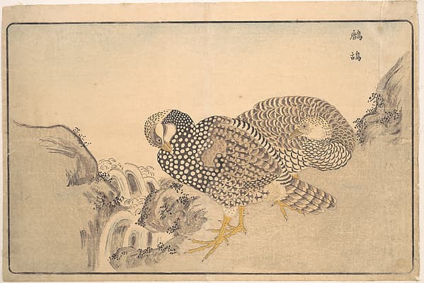Zhe gu, by Kuwagata Keisai