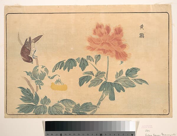 Chinese Oriole and Peonies, by Kuwagata Keisai