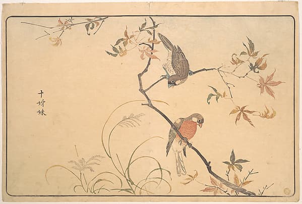 Jūshimatsu (Begalee or a society finch), by Kuwagata Keisai