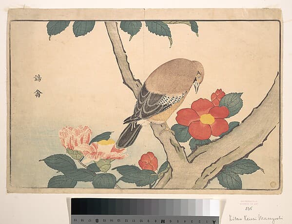 Camellias with a Bird, by Kuwagata Keisai