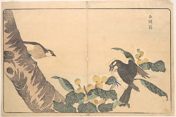 Bai tou weng, by Kuwagata Keisai