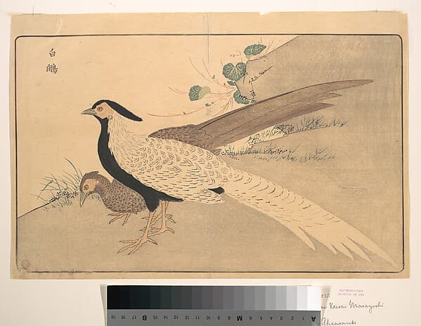 Bai xian, by Kuwagata Keisai
