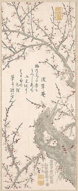 Plum Tree in Blossom, by Kitao Shigemasa