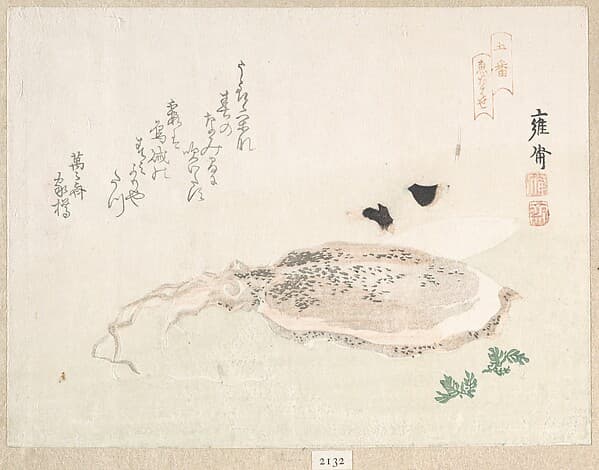 Cuttle Fish, by Kikuchi Yōsai