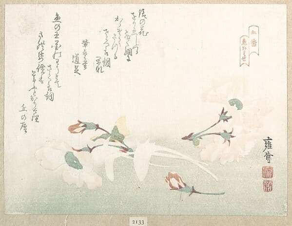 Cherry Flowers, by Kikuchi Yōsai