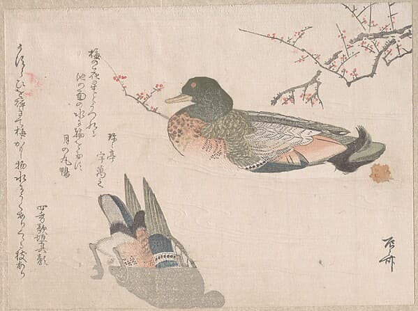 Pair of Ducks Swimming, by Ryūryūkyo Shinsai