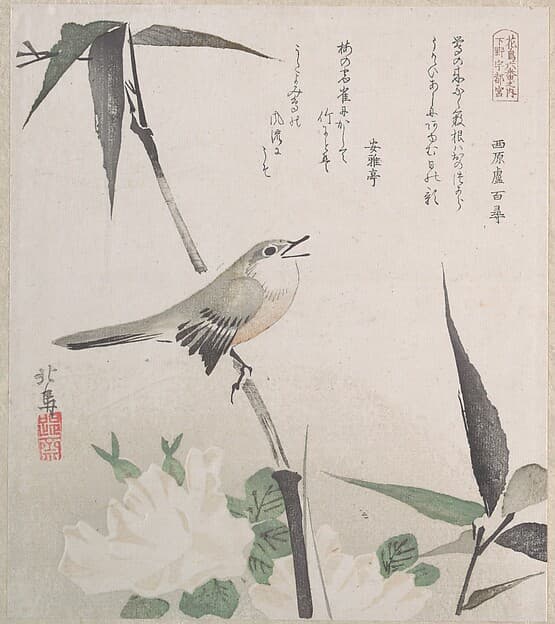 Roses and Bamboo with Nightingale, by Teisai Hokuba