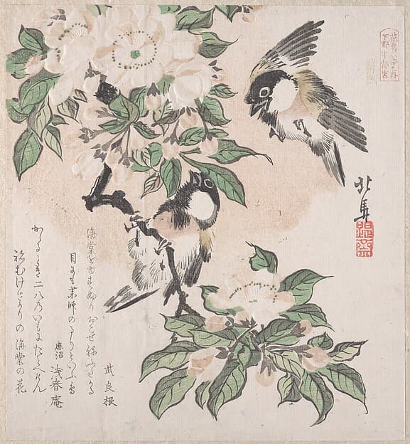 Spring Rain Collection (Harusame shū), vol. 3: Marsh-tits and Crab Apple Flowers, by Teisai Hokuba