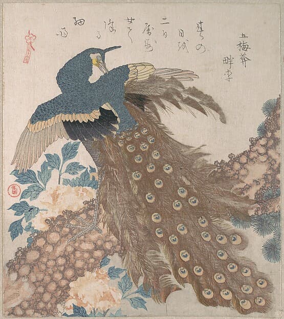 Peacock on Pine Tree and Peonies, from the series Three Sheets (Mihira no uchi), by Totoya Hokkei