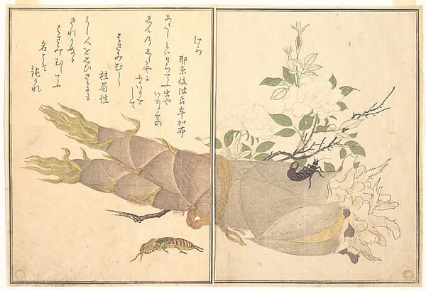 Mole Cricket (Kera); Earwig, (Hasami-mushi), from the Picture Book of Crawling Creatures (Ehon mushi erami), by Kitagawa Utamaro