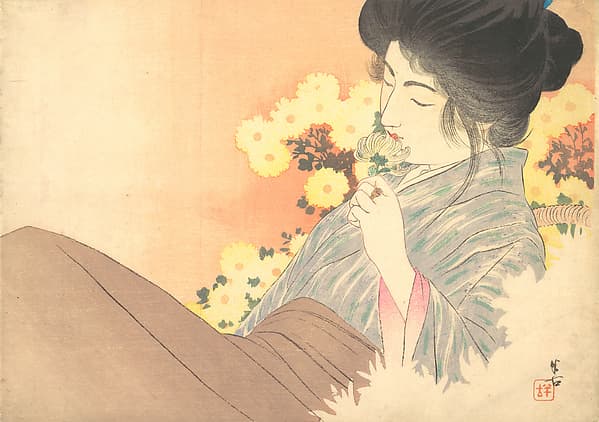 White Chrysanthemums (kiku no kaori, by Kajita Hanko