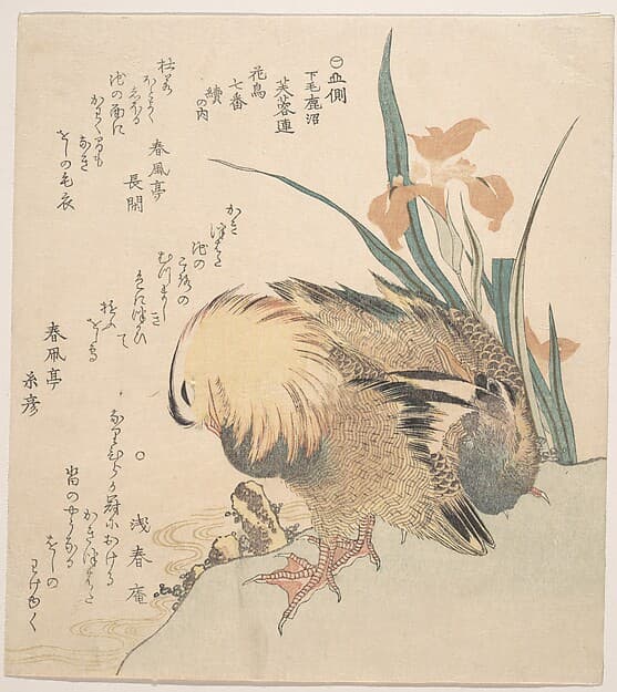 Pair of Mandarin Ducks and Iris Flowers, by Kubo Shunman