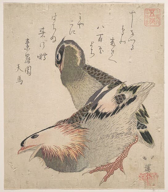 Two Birds, by Totoya Hokkei