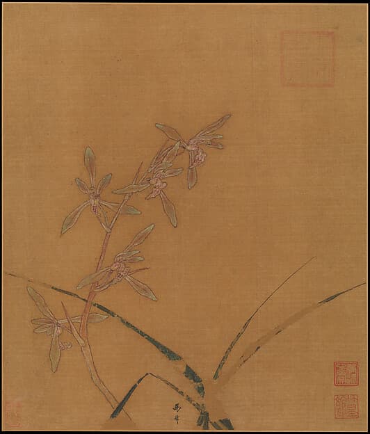 Orchids, by Ma Lin