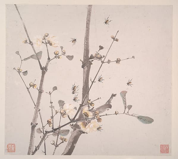 Insects and Flowers, by Ju Lian