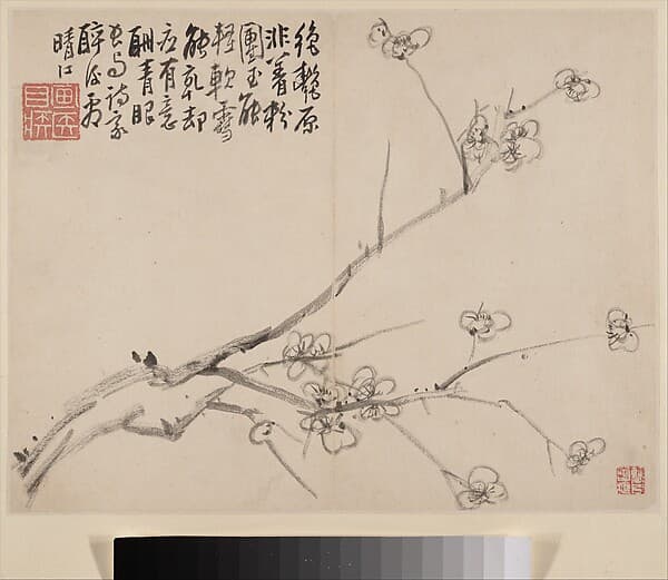 Album of Blossoming Plum, by Li Fangying