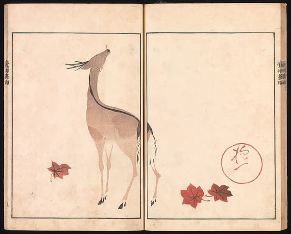 Ōson (Hōitsu) Picture Album (Ōson gafu), by Sakai Hōitsu