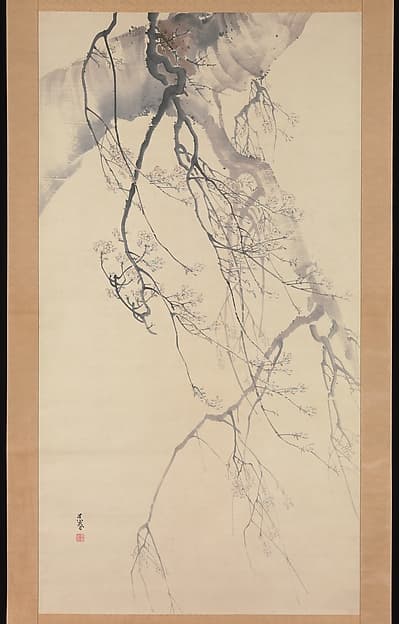 Cherry Blossoms, by Matsumura Goshun