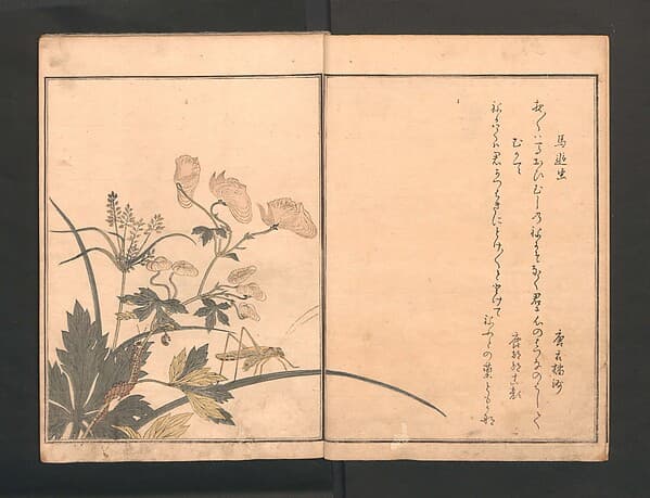 Picture Book of Crawling Creatures (The Insect Book) (Ehon mushi erami) 画本虫撰, by Kitagawa Utamaro 喜多川歌麿